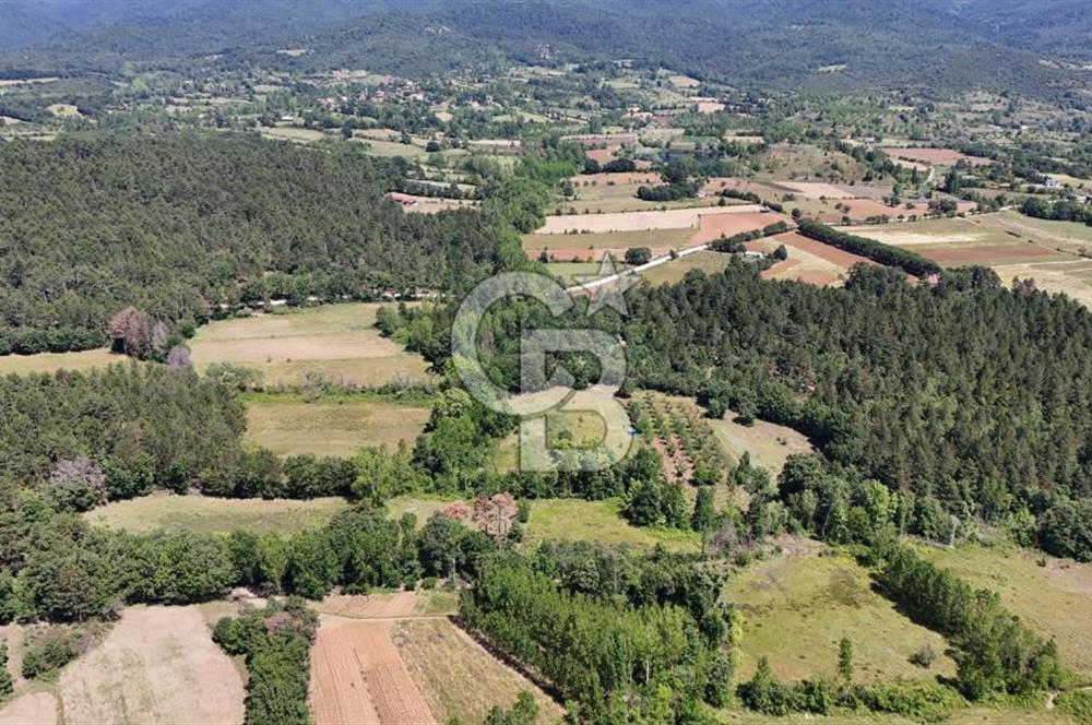 Çanakkale Yenice Aşağıçavuş Köyünde 5.101 M² Satılık Tarla !