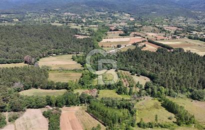 Çanakkale Yenice Aşağıçavuş Köyünde 5.101 M² Satılık Tarla !