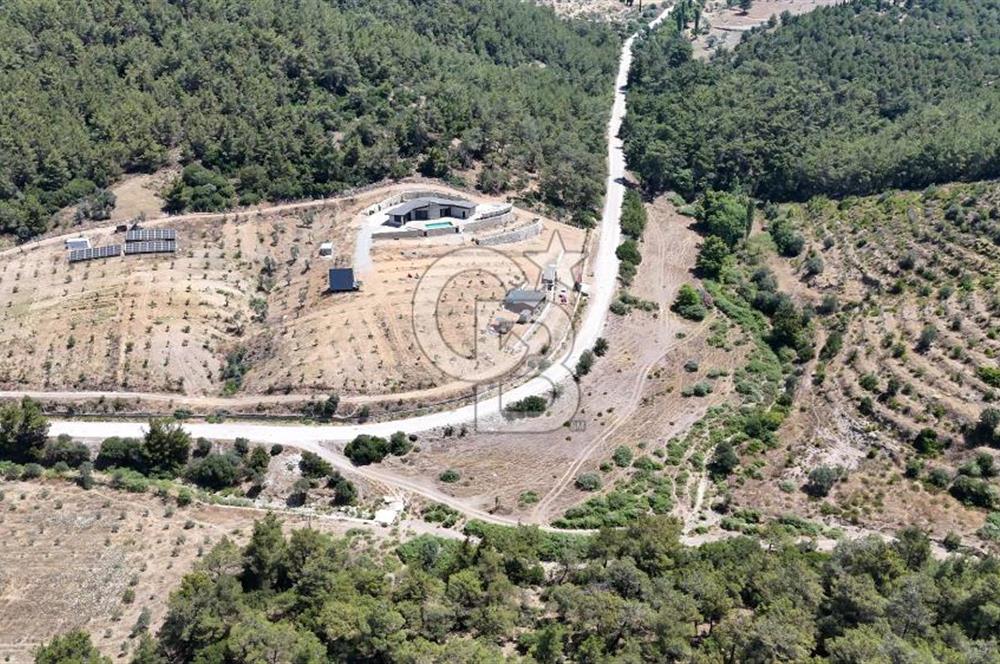 SEFERİHİSAR ORHANLI’DA YOLA CEPHELİ 2.726 m² ZEYTİN AĞAÇLI TARLA