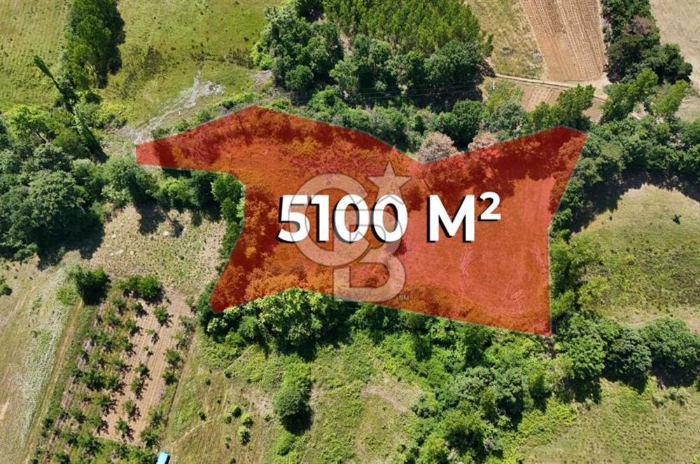 Çanakkale Yenice Aşağıçavuş Köyünde 5.101 M² Satılık Tarla !
