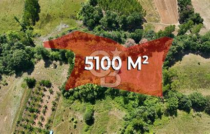 Çanakkale Yenice Aşağıçavuş Köyünde 5.101 M² Satılık Tarla !