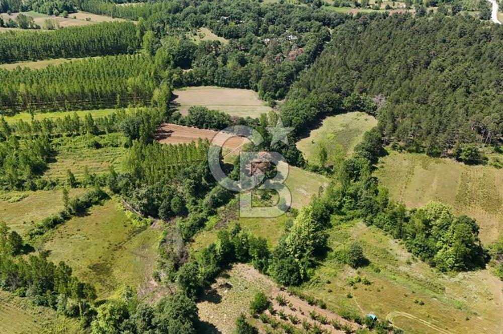 Çanakkale Yenice Aşağıçavuş Köyünde 5.101 M² Satılık Tarla !