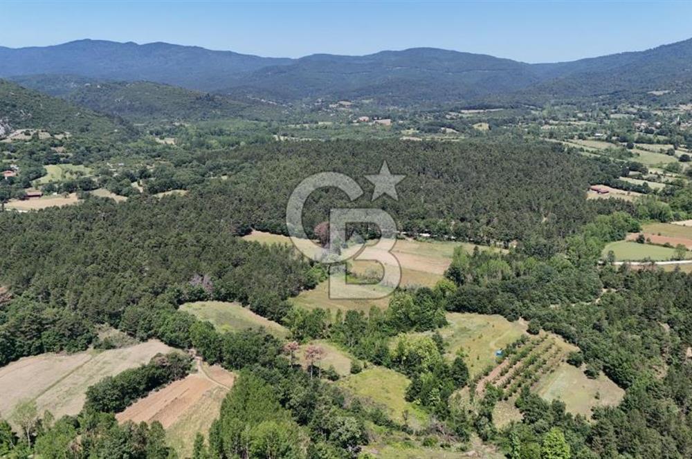 Çanakkale Yenice Aşağıçavuş Köyünde 5.101 M² Satılık Tarla !