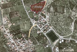 Foça Ilıpınar'da Köy Merkezi Yakınında Satılık Fırsat Zeytinlik
