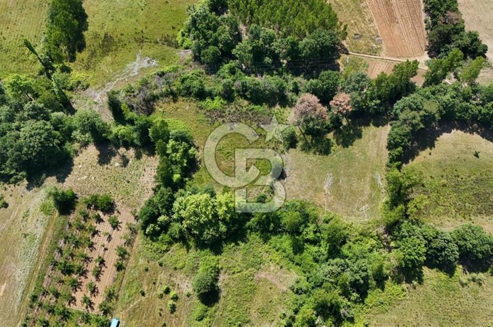 Çanakkale Yenice Aşağıçavuş Köyünde 5.101 M² Satılık Tarla !