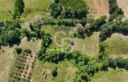Çanakkale Yenice Aşağıçavuş Köyünde 5.101 M² Satılık Tarla !