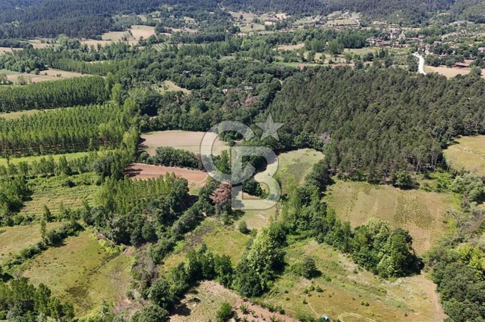 Çanakkale Yenice Aşağıçavuş Köyünde 5.101 M² Satılık Tarla !