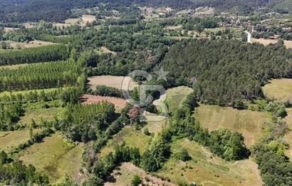 Çanakkale Yenice Aşağıçavuş Köyünde 5.101 M² Satılık Tarla !