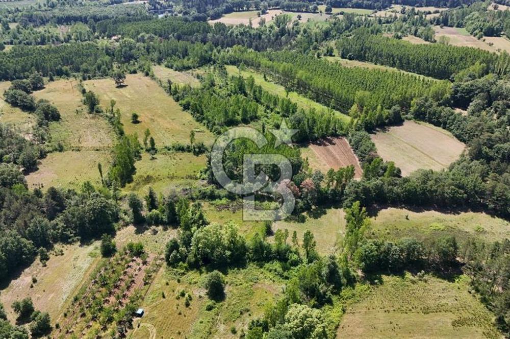 Çanakkale Yenice Aşağıçavuş Köyünde 5.101 M² Satılık Tarla !