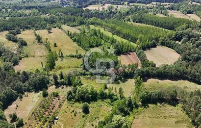 Çanakkale Yenice Aşağıçavuş Köyünde 5.101 M² Satılık Tarla !