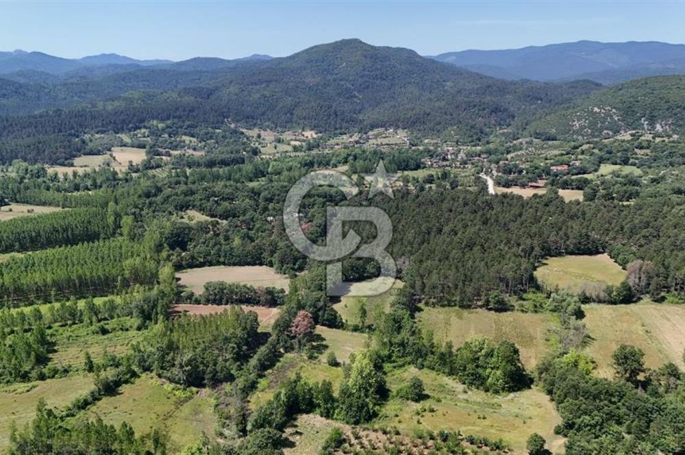 Çanakkale Yenice Aşağıçavuş Köyünde 5.101 M² Satılık Tarla !