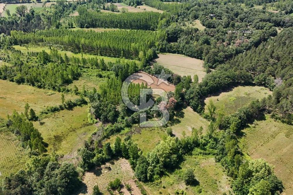 Çanakkale Yenice Aşağıçavuş Köyünde 5.101 M² Satılık Tarla !