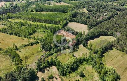 Çanakkale Yenice Aşağıçavuş Köyünde 5.101 M² Satılık Tarla !