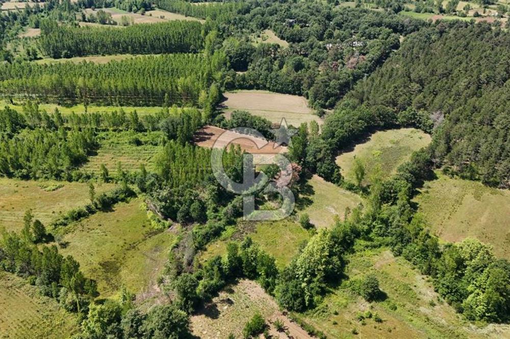 Çanakkale Yenice Aşağıçavuş Köyünde 5.101 M² Satılık Tarla !