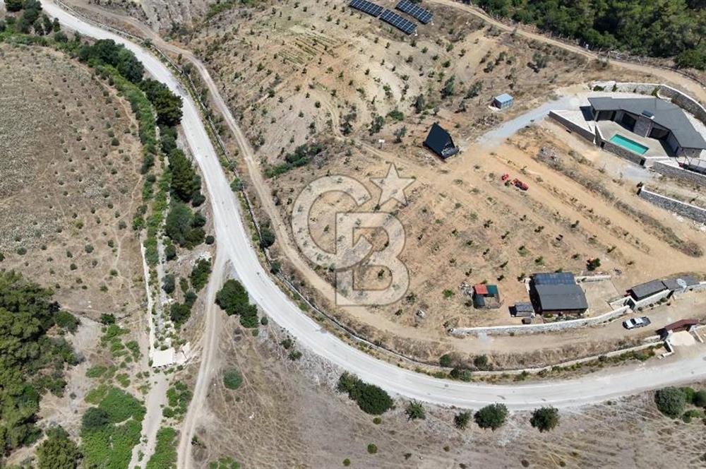 SEFERİHİSAR ORHANLI’DA YOLA CEPHELİ 2.726 m² ZEYTİN AĞAÇLI TARLA