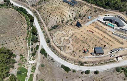 SEFERİHİSAR ORHANLI’DA YOLA CEPHELİ 2.726 m² ZEYTİN AĞAÇLI TARLA