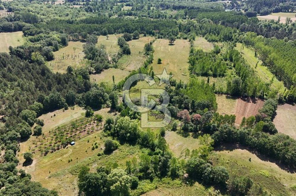 Çanakkale Yenice Aşağıçavuş Köyünde 5.101 M² Satılık Tarla !