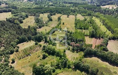 Çanakkale Yenice Aşağıçavuş Köyünde 5.101 M² Satılık Tarla !