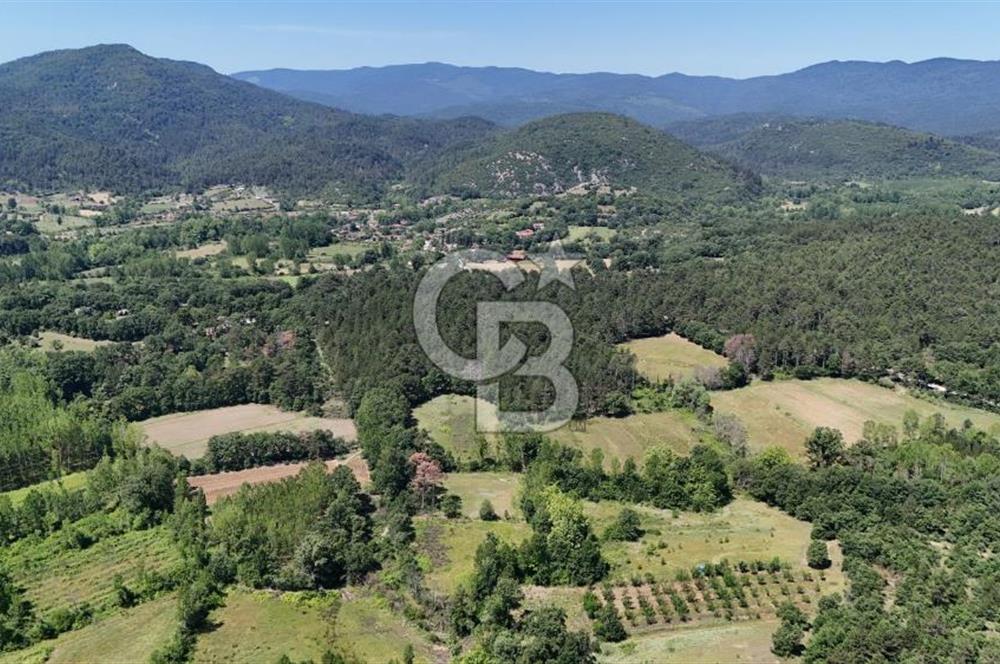 Çanakkale Yenice Aşağıçavuş Köyünde 5.101 M² Satılık Tarla !