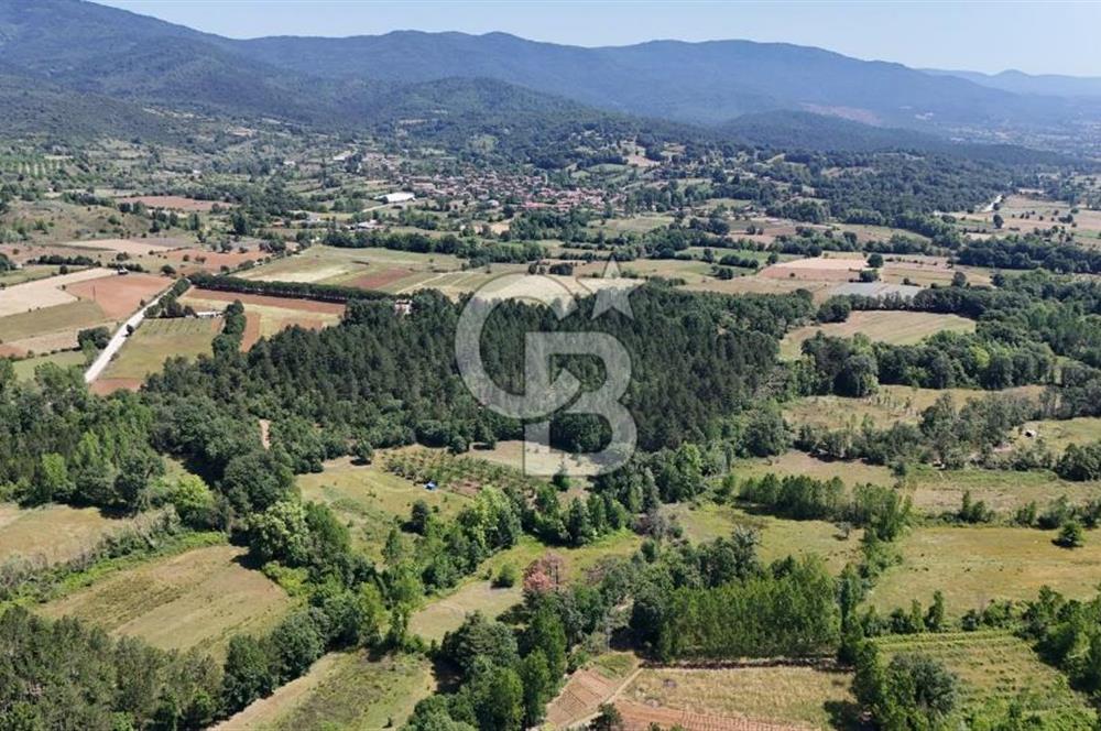 Çanakkale Yenice Aşağıçavuş Köyünde 5.101 M² Satılık Tarla !