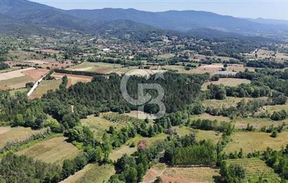 Çanakkale Yenice Aşağıçavuş Köyünde 5.101 M² Satılık Tarla !