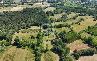 Çanakkale Yenice Aşağıçavuş Köyünde 5.101 M² Satılık Tarla !