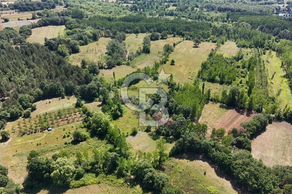 Çanakkale Yenice Aşağıçavuş Köyünde 5.101 M² Satılık Tarla !