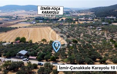 Foça Ilıpınar'da Köy Merkezine 700mt Mesafede Satılık Zeytinlik