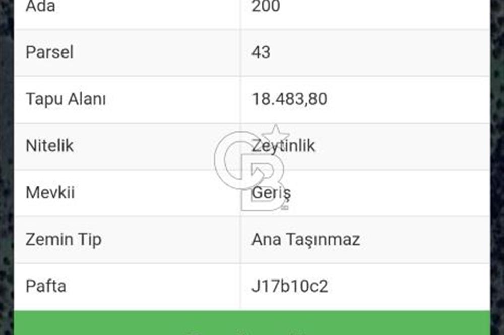 Balıkesir Burhaniye'de Yatırımlık Fırsat Tarla