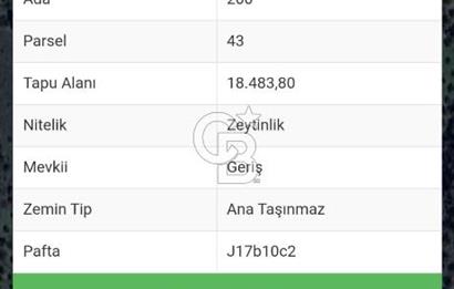 Balıkesir Burhaniye'de Yatırımlık Fırsat Tarla