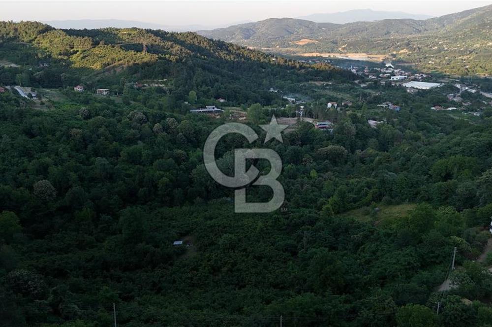 GEYVE İLİMBEY KÖYÜNDE MUHTEŞEM MANZARALI FIRSAT ARSA