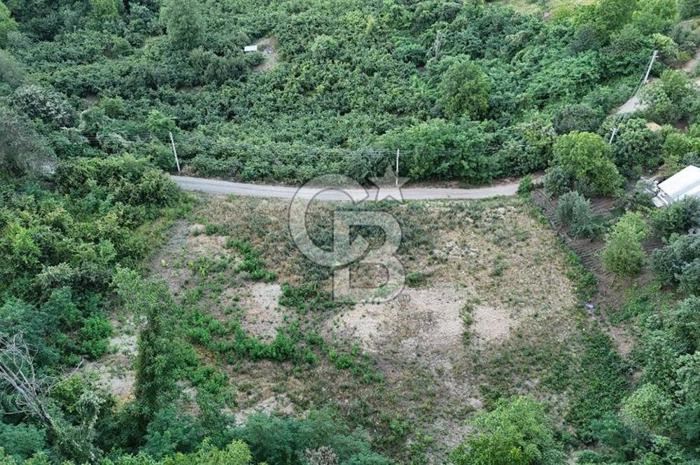GEYVE İLİMBEY KÖYÜNDE MUHTEŞEM MANZARALI FIRSAT ARSA