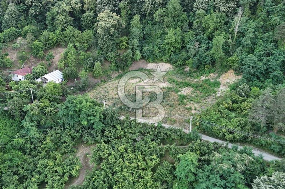 GEYVE İLİMBEY KÖYÜNDE MUHTEŞEM MANZARALI FIRSAT ARSA