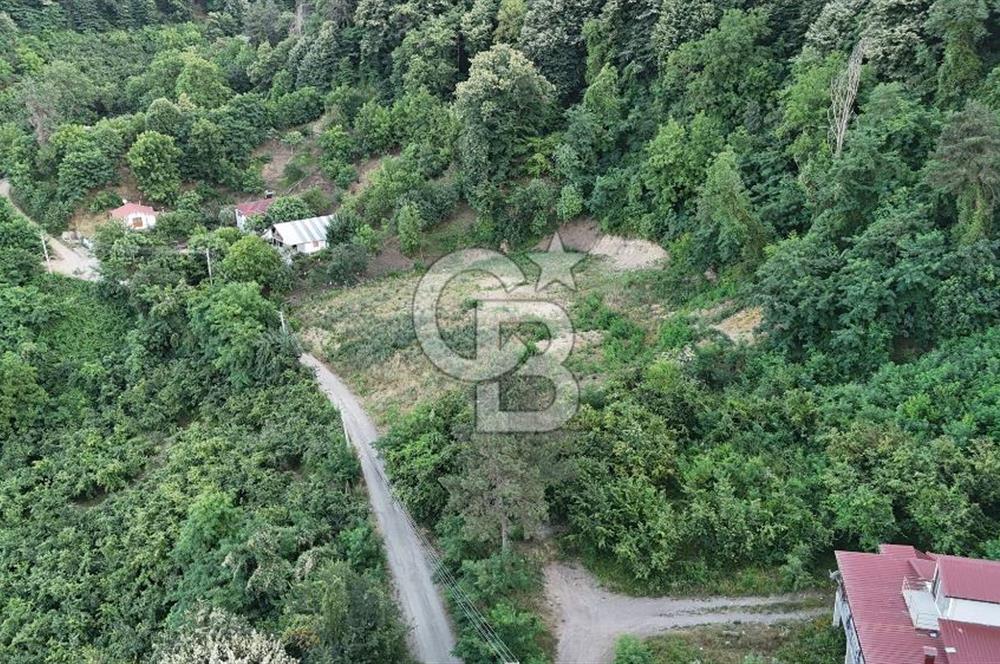 GEYVE İLİMBEY KÖYÜNDE MUHTEŞEM MANZARALI FIRSAT ARSA