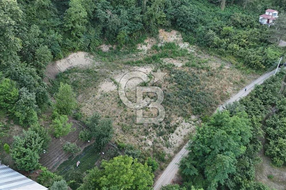 GEYVE İLİMBEY KÖYÜNDE MUHTEŞEM MANZARALI FIRSAT ARSA