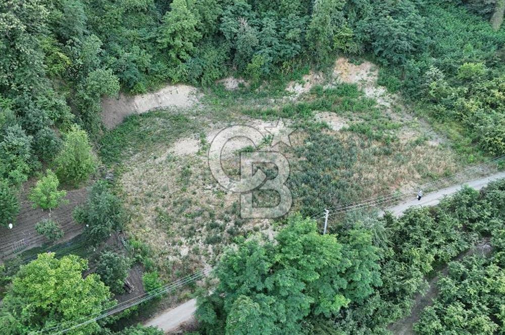GEYVE İLİMBEY KÖYÜNDE MUHTEŞEM MANZARALI FIRSAT ARSA