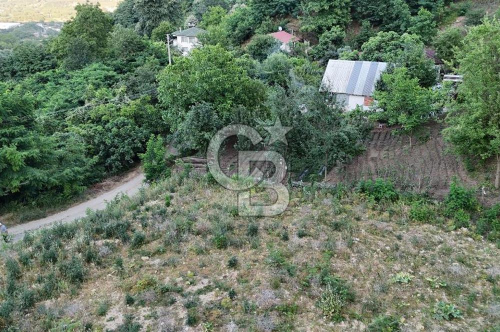 GEYVE İLİMBEY KÖYÜNDE MUHTEŞEM MANZARALI FIRSAT ARSA
