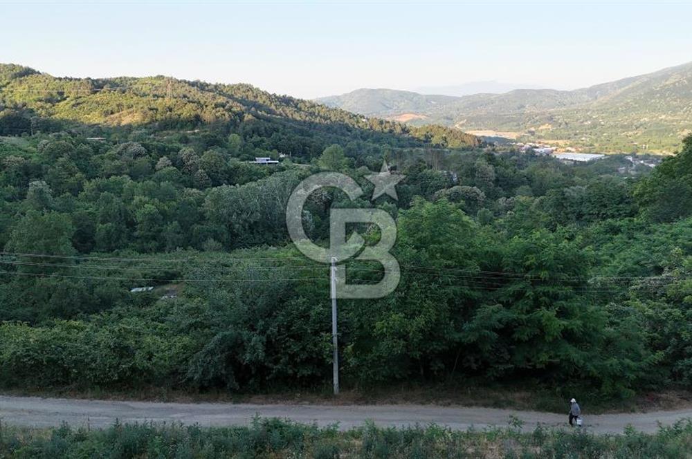 GEYVE İLİMBEY KÖYÜNDE MUHTEŞEM MANZARALI FIRSAT ARSA