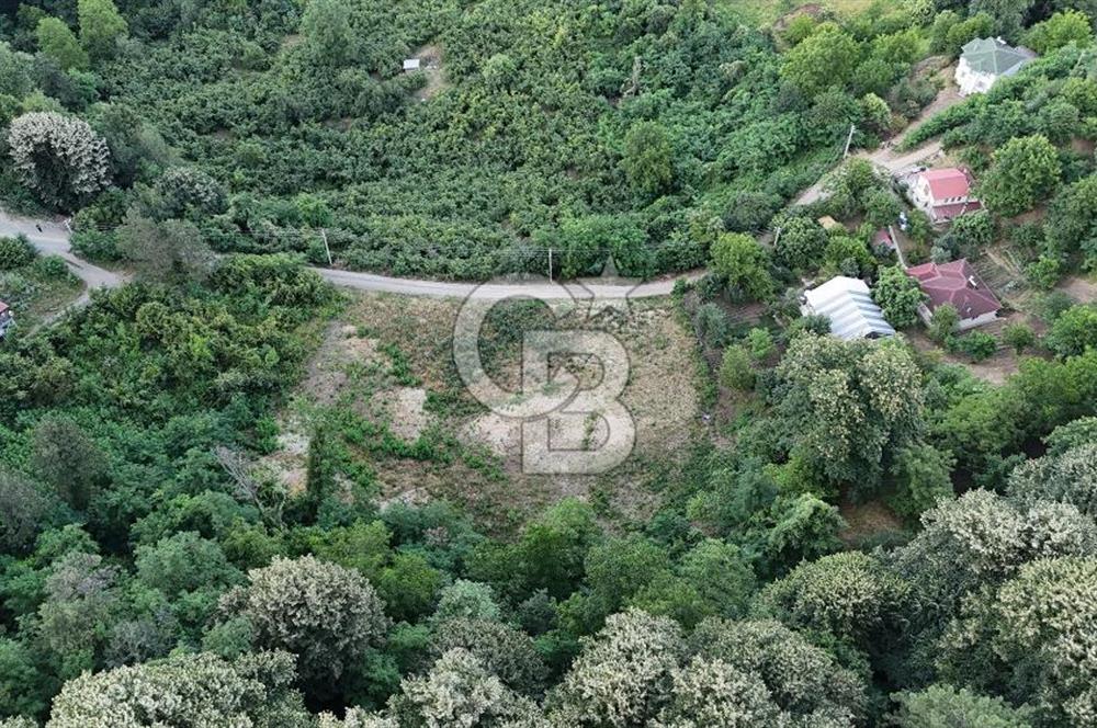 GEYVE İLİMBEY KÖYÜNDE MUHTEŞEM MANZARALI FIRSAT ARSA