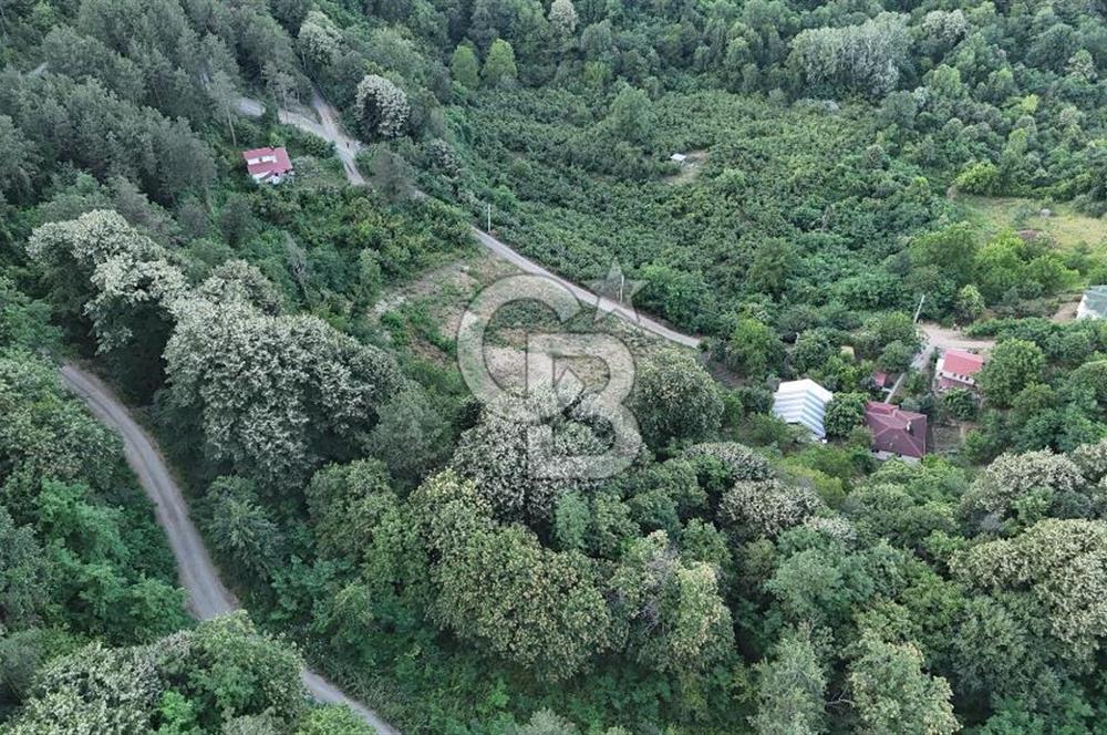 GEYVE İLİMBEY KÖYÜNDE MUHTEŞEM MANZARALI FIRSAT ARSA