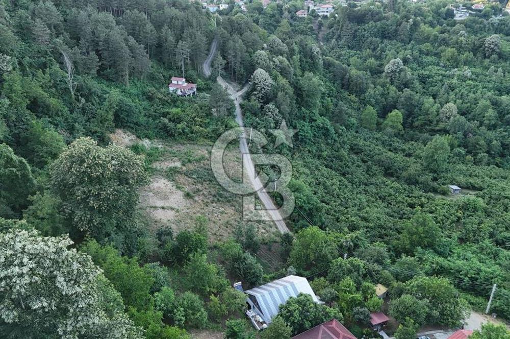 GEYVE İLİMBEY KÖYÜNDE MUHTEŞEM MANZARALI FIRSAT ARSA