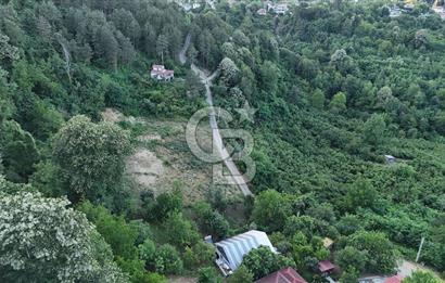 GEYVE İLİMBEY KÖYÜNDE MUHTEŞEM MANZARALI FIRSAT ARSA