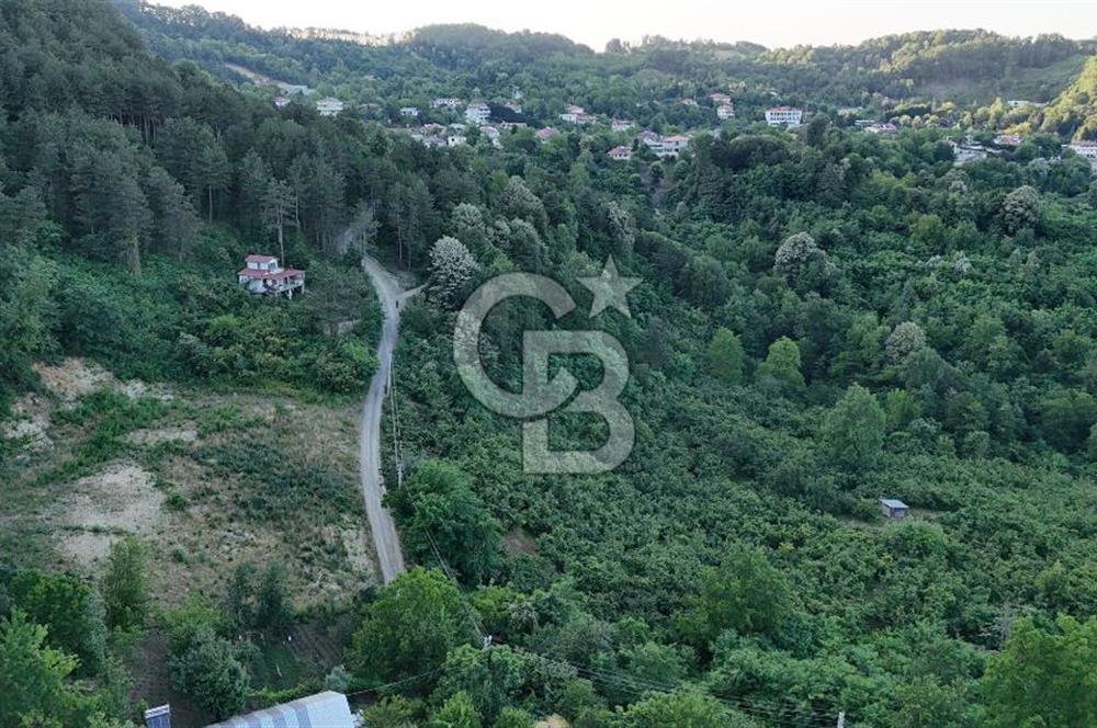 GEYVE İLİMBEY KÖYÜNDE MUHTEŞEM MANZARALI FIRSAT ARSA