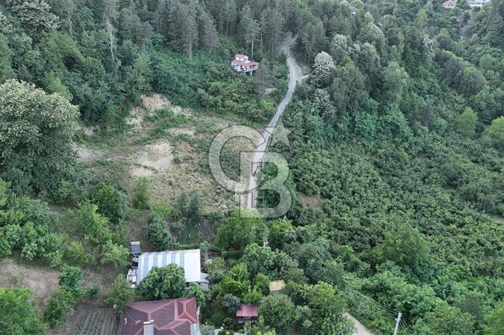 GEYVE İLİMBEY KÖYÜNDE MUHTEŞEM MANZARALI FIRSAT ARSA