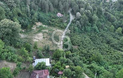 GEYVE İLİMBEY KÖYÜNDE MUHTEŞEM MANZARALI FIRSAT ARSA