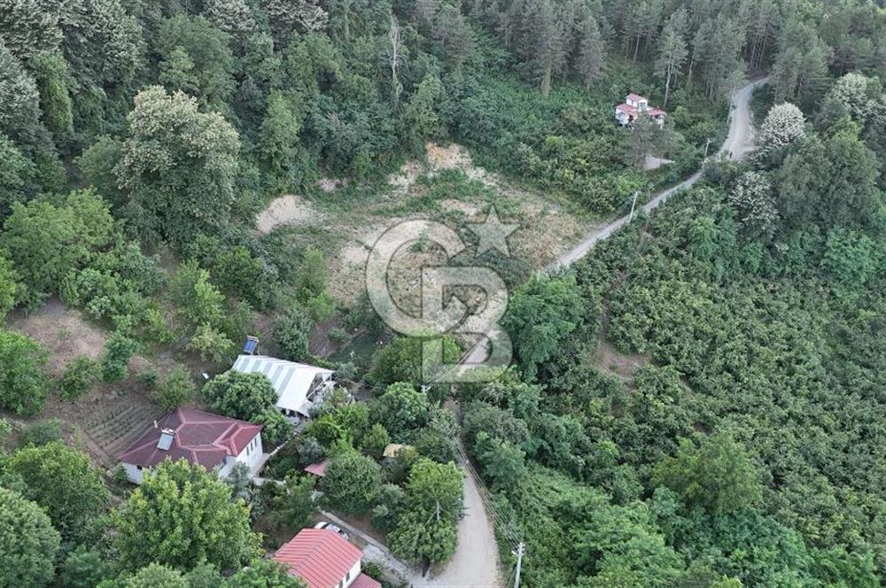 GEYVE İLİMBEY KÖYÜNDE MUHTEŞEM MANZARALI FIRSAT ARSA