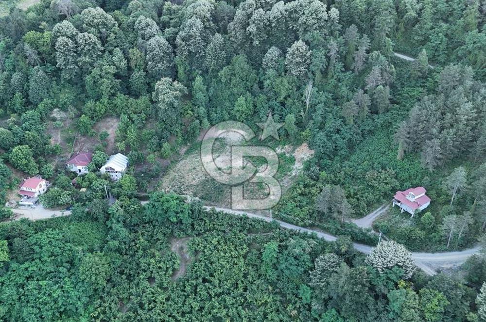 GEYVE İLİMBEY KÖYÜNDE MUHTEŞEM MANZARALI FIRSAT ARSA