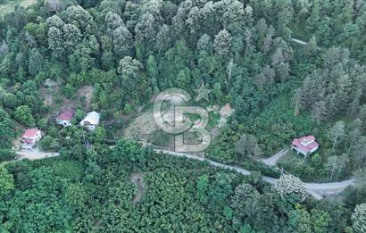GEYVE İLİMBEY KÖYÜNDE MUHTEŞEM MANZARALI FIRSAT ARSA