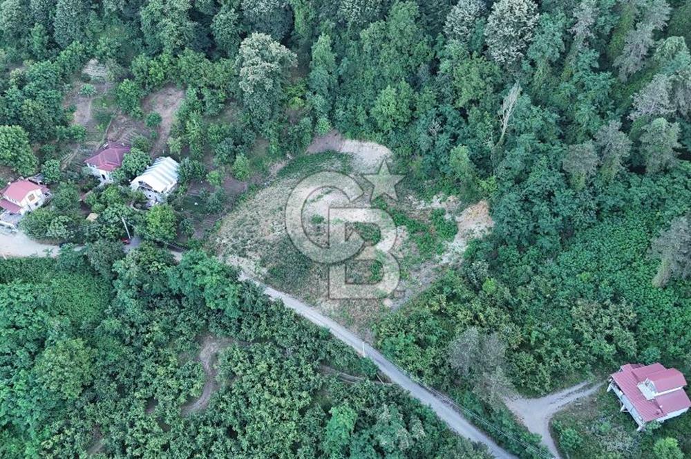 GEYVE İLİMBEY KÖYÜNDE MUHTEŞEM MANZARALI FIRSAT ARSA
