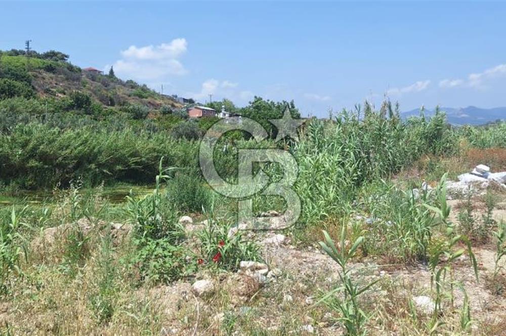 MEZİTLİ KALE'DE SATILIK LİMON BAHÇESİ